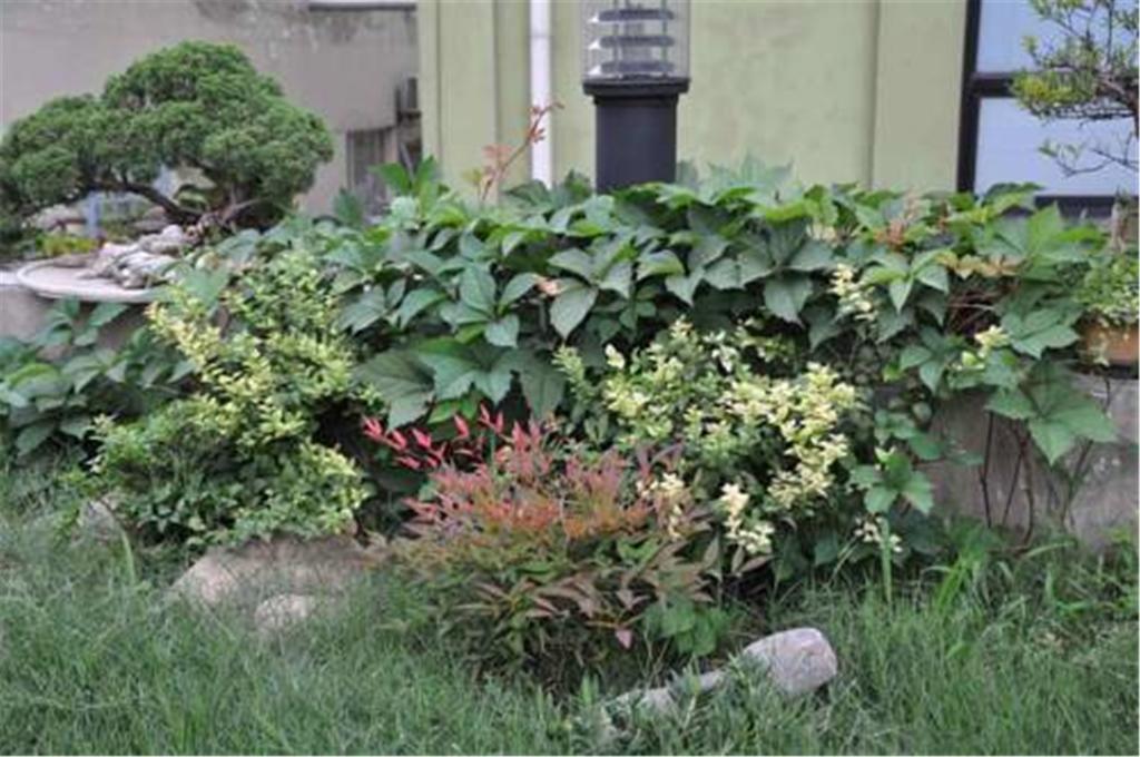 Shanghai Le Tour Traveler'S Rest Youth Hostel Exterior foto
