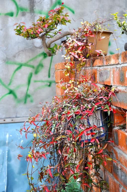 Shanghai Le Tour Traveler'S Rest Youth Hostel Exterior foto