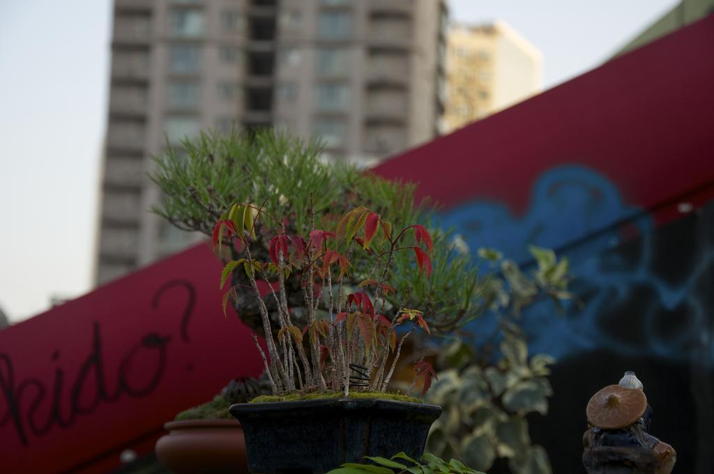 Shanghai Le Tour Traveler'S Rest Youth Hostel Exterior foto